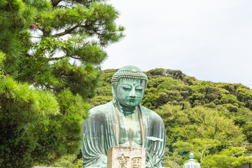 The Great Buddha in Kamakura Japan which is surrounded by green leaves. Located in Kamakura, Kanagawa Prefecture Japan.
