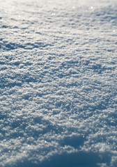 Obraz premium white snow