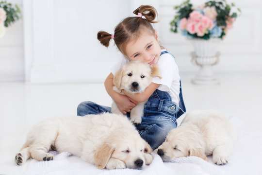 Little girl,brunette hair,tied with pink bands into two tails,dressed in a white t-shirt and blue denim overalls is playing at home,sitting alone on the bed with three puppies Golden Retriever