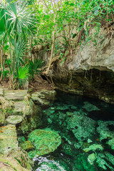 Cenote - natural lagoon with transparent turquoise water surrounded by rocks and tropical vegetation. Wild jungle