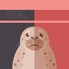 Seal  flat postcard