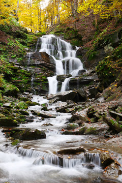 Fototapeta Piękny widok na wodospad w bukowym lesie w złotej jesieni.