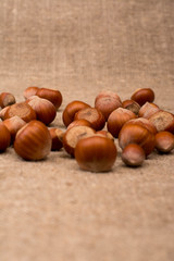 Hazelnuts on sackcloth fabric