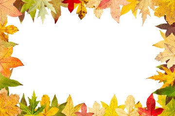 Fototapeta na wymiar Seasonal frame of autumnal maple leaves isolated on white