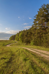 Country road with curves along the forest