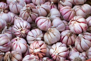 Garlic bulbs bulk. Selective focus.