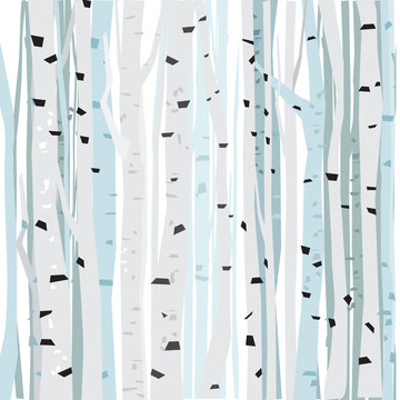 Birch forest vector background. Birch forest pattern. Background of trees © evgenymolodtsov