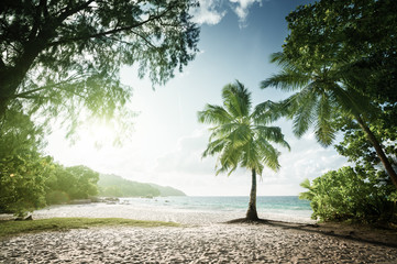 Plakat Anse Lazio beach, Praslin island, Seychelles