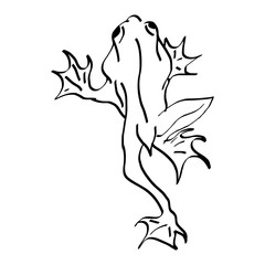 illustration vector doodles hand drawn frog climbing wall background