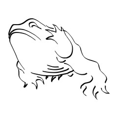 illustration vector doodles hand drawn frog raising its hand isolated