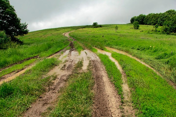 Mud and puddles in the mountains after a rain.