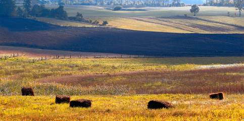 Wiosna Na Polach  © Wojciech Lisiński