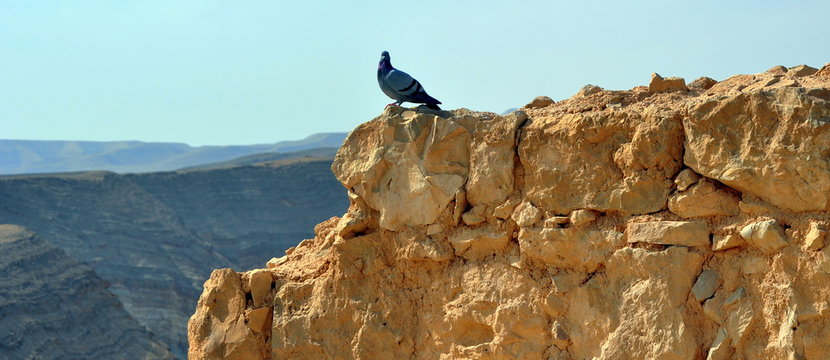 Ausblick von der Festung Masada