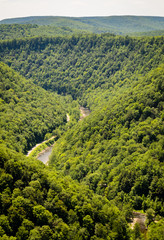 Fototapeta premium Pine Creek Gorge