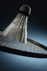 Fototapeta na wymiar badminton