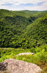 Pine Creek Gorge