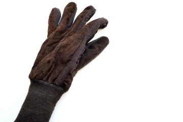 Winter Glove