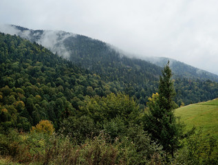 Fototapeta na wymiar Beautiful landscape in the Carpathian mountains
