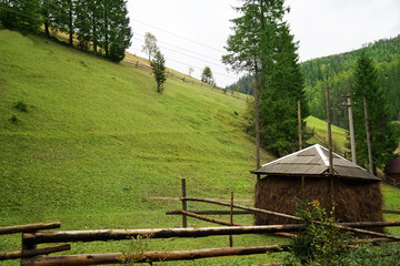 Beautiful hills of the Carpathian mountains