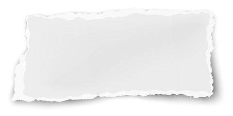 Obraz premium Vector oblong paper scrap isolated on white background