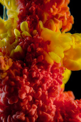 The colorful dye in the water. Abstract background. Wallpaper. Concept art
