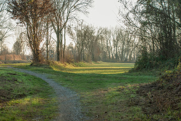 strada di campagna