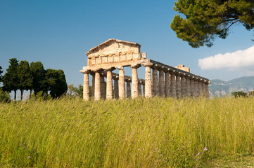 Fototapeta na wymiar Tempel der Athene in der Tempelanlge von Paestum