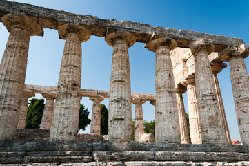 Obraz premium Säulen Griechische Tempel in Paestum