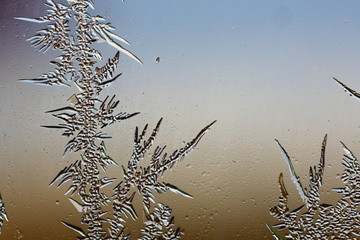 winter pattern of ice crystals on glass