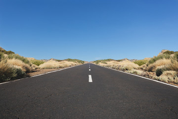Empty highway in desert landscape , straight road