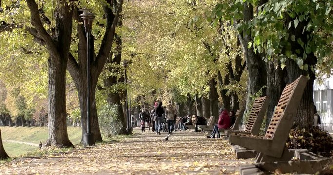 People Enjoying a Embankment Walkway in a Sunny Autumn Afternoon. Time Lapse of a Park Scene in Autumn.