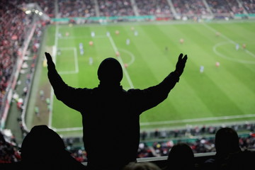 sillhouette of cheering fan in stadium