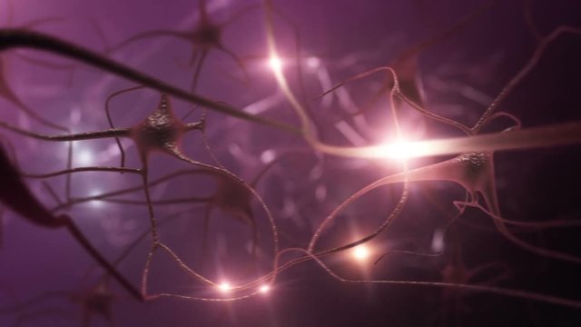 Neurons. Loopable. Warm colors.
