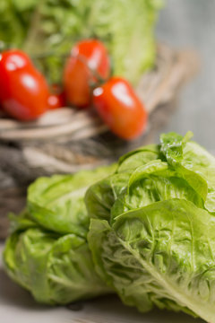 Green fresh roma lettuce salad leaves and roma mini tomatoes - healthy diet