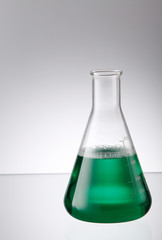 erlenmeyer flask full of liquid