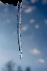 one icicle on background sky
