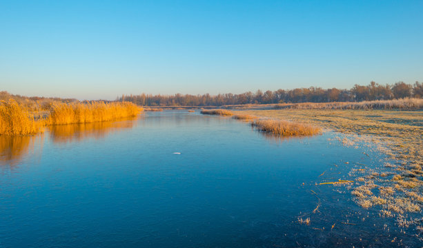 Shore of a frozen lake in sunlight in winter © Naj