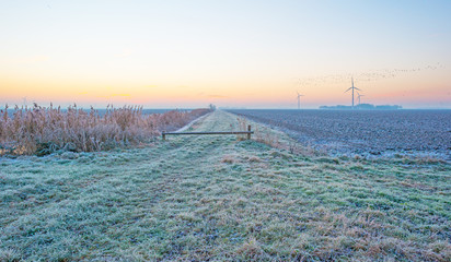 Frozen field at sunrise in winter