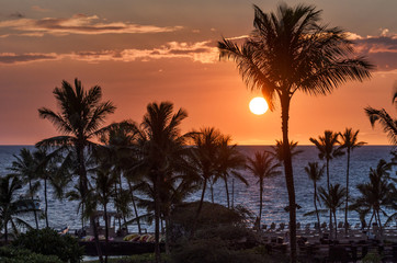 Fototapeta na wymiar Tropical island sunset with palm tree silhouettes and red sky