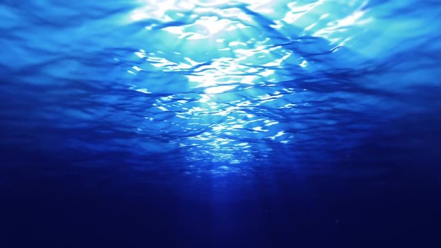 Underwater scene. Loopable. 2 in 1. Blue.