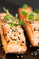 Grilled salmon on black plate