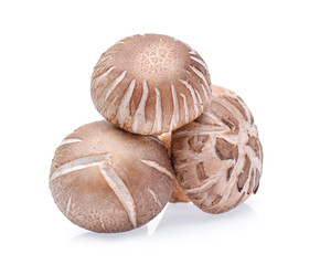 Shiitake Mushrooms on white background