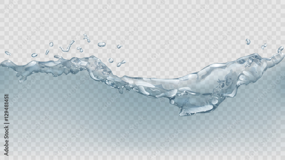 Wall mural transparent water wave. transparency only in vector file