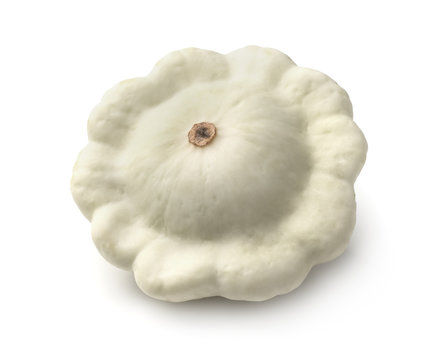 White Pattypan Squash