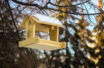 Bird feeders with snow