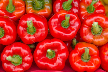 Colorful sweet bell peppers for background.