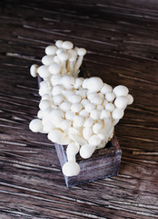 white Chinese mushrooms on a wooden background, selective focus
