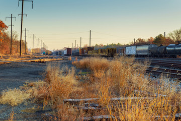 Railroad scene with cargo train