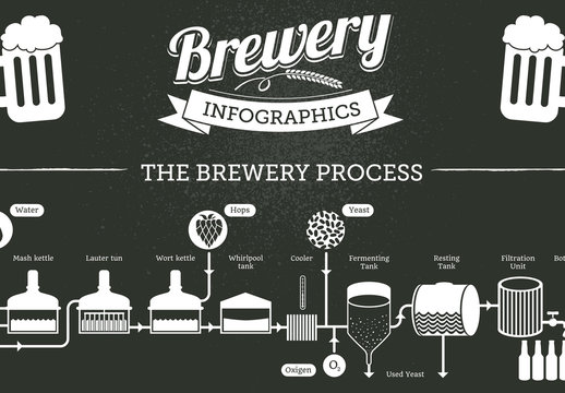 Beer Brewing Infographic