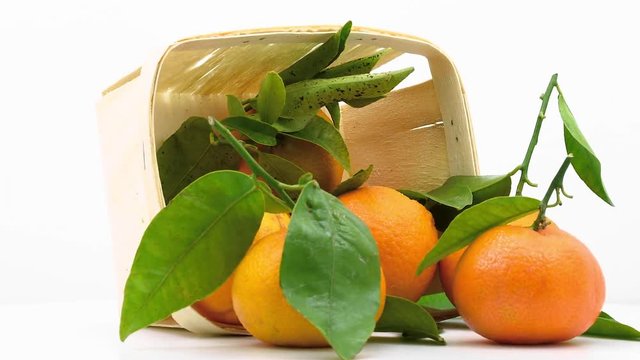 Tangerines with leaves in basket rotates in loop